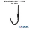 Rinneneisen2