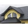 Dachpaneel PD510 S STEHFALZ pic