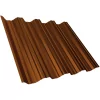 TP60 RAL8004