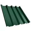 TP55 RAL 6005